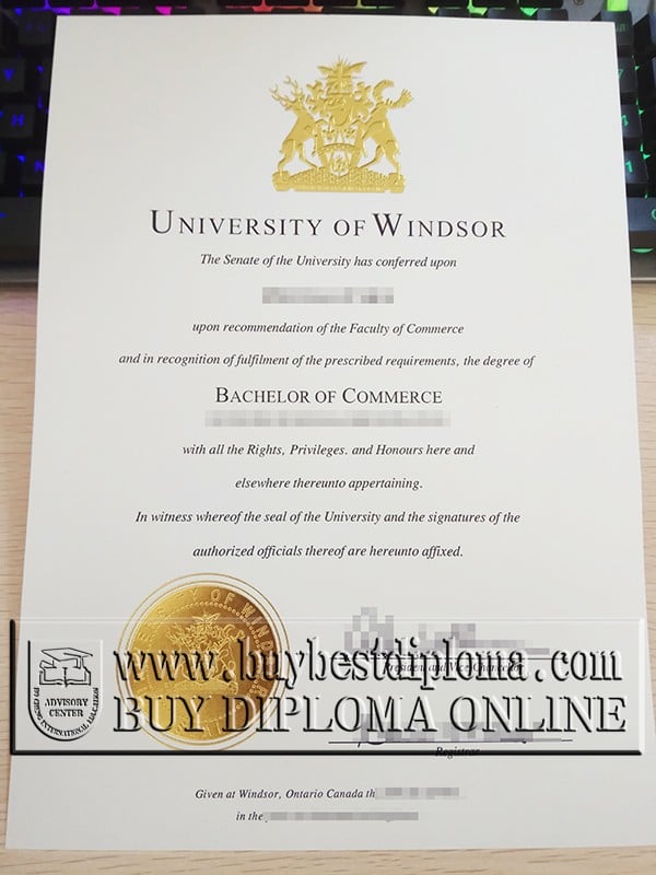 University Of Windsor Diploma University Of Windsor Diploma
