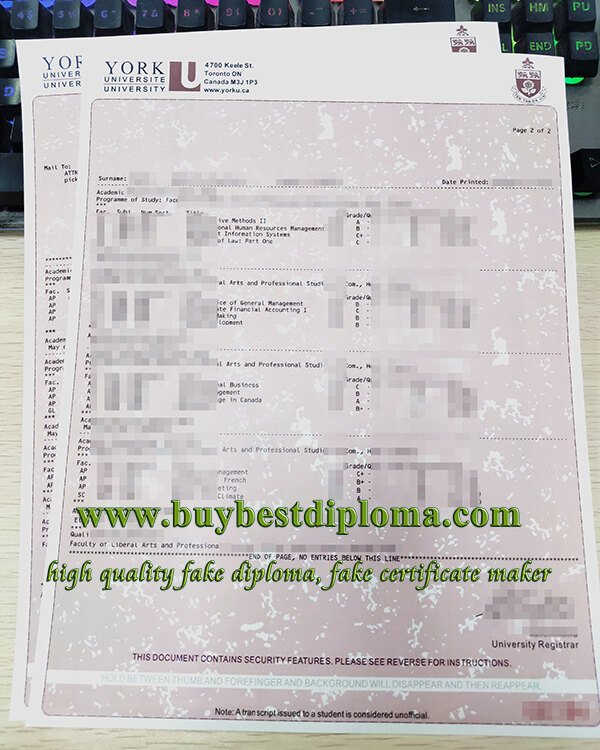 York University transcript York University transcript