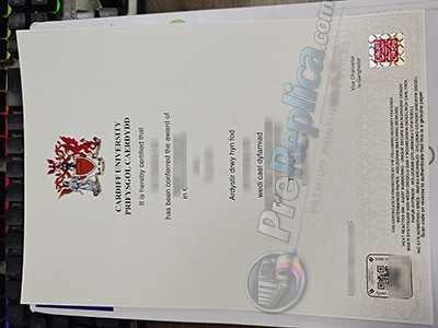 Cardiff University degree
