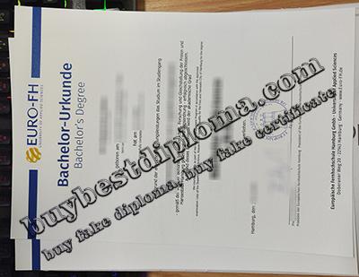 EURO-FH urkunde certificate