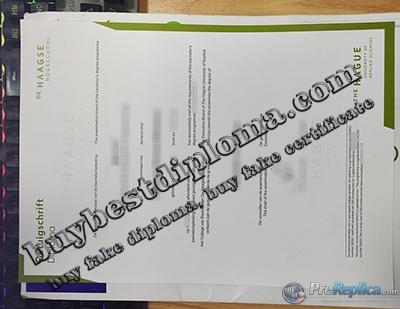 Haagse Hogeschool diploma, Hague University of Applied Sciences degree,