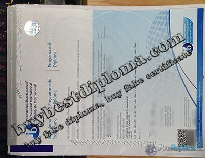 IB diploma transcript