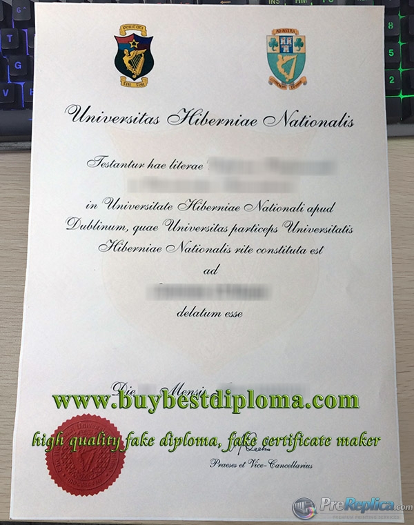 NUI Dublin degree