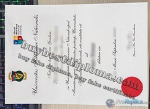 NUI Maynooth degree, Maynooth University degree, national university of ireland Maynooth diploma,
