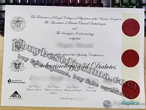 RCP endocrinology and diabetes certificate