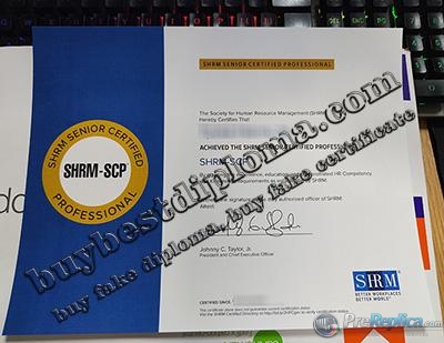 SHRM SCP certificate