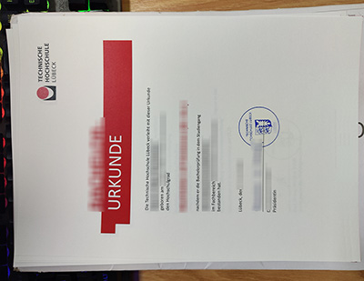 Technische Hochschule Lübeck degree