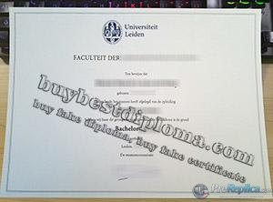 Universiteit Leiden getuigschrift, Universiteit Leiden degree, University of Leiden diploma,