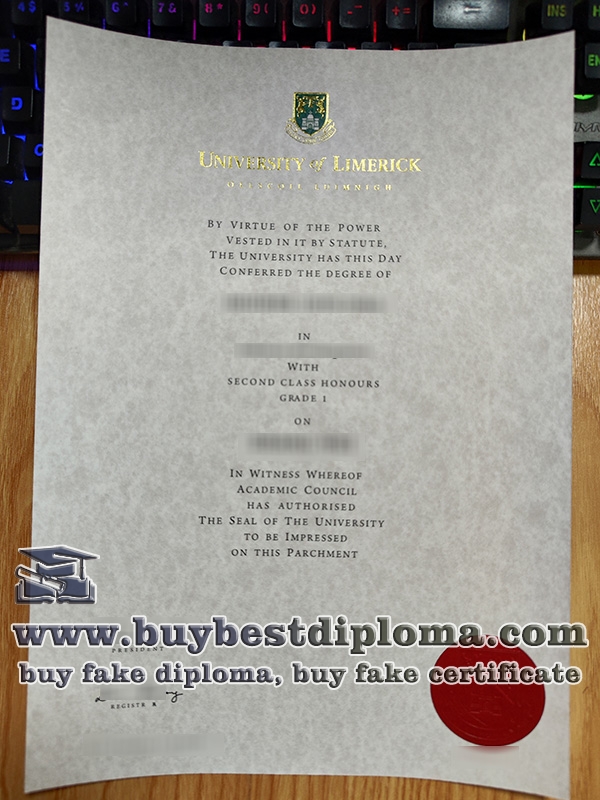 University of Limerick degree University of Limerick degree
