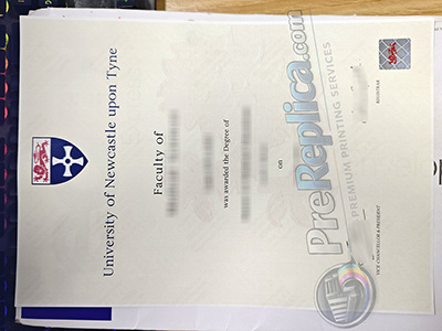 University of Newcastle upon Tyne degree