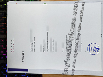 universität kassel degree